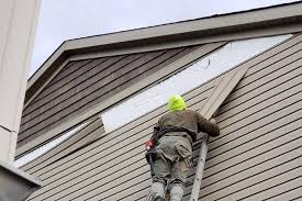 Best Historical Building Siding Restoration  in Dexter, MI